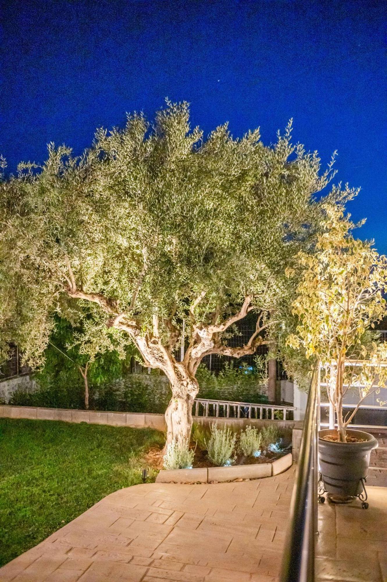 カラマタ Thea Seaview Luxury Livingヴィラ エクステリア 写真
